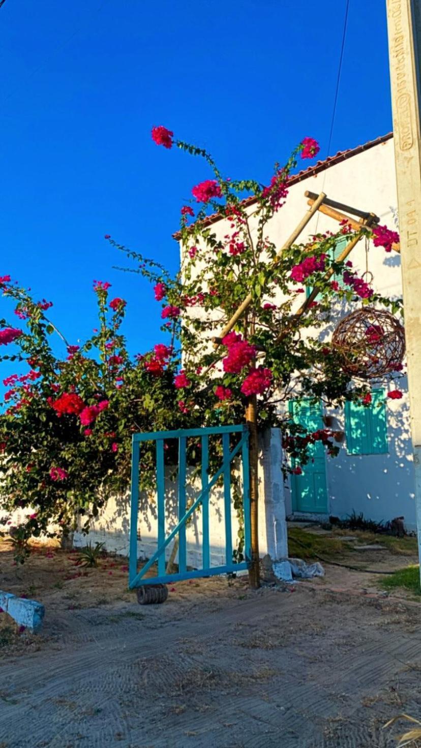 Pousada Casa Verde Canoa Quebrada Exterior foto